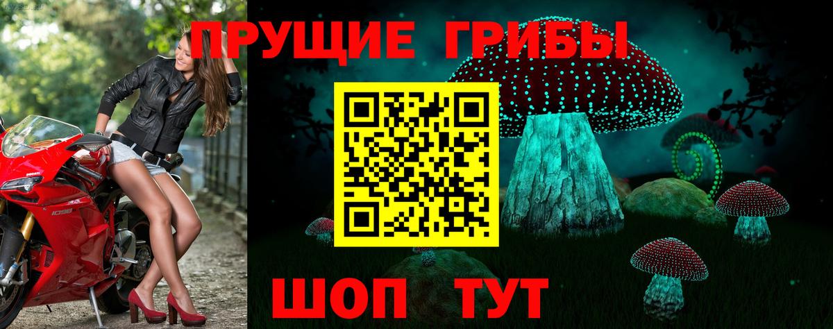 Конопля Жуковский
